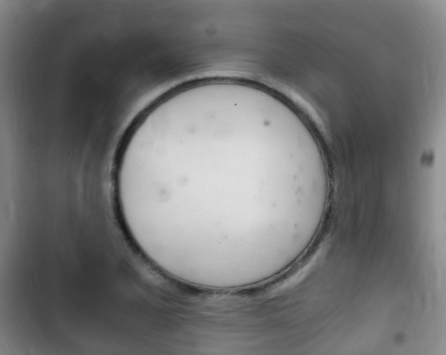 X0000102761077200808180926