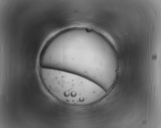 X0000102761080200808180926