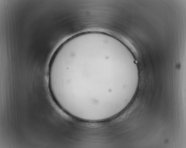 X0000102761084200808180926