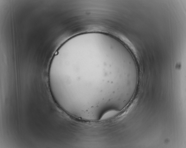 X0000102761089200808180926