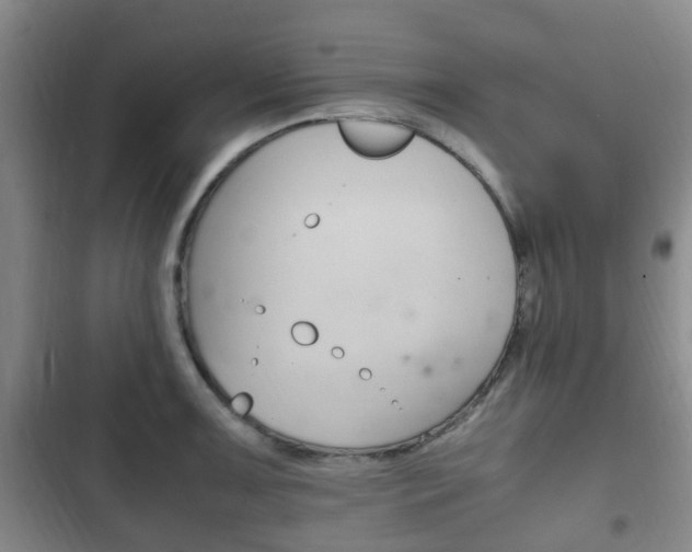 X0000102761091200808180926
