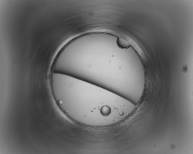 X0000102761092200808180926