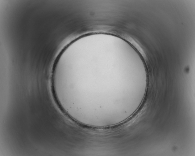 X0000102761093200808180926