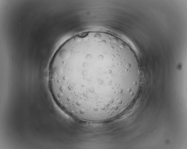 X0000102761095200808180926