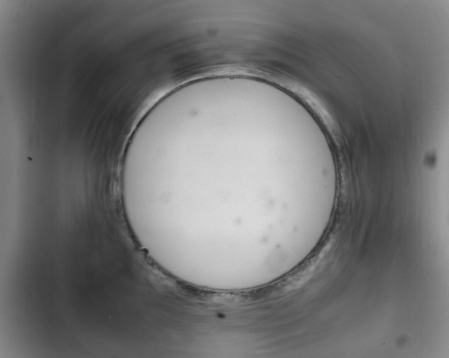 X0000102761097200808180925