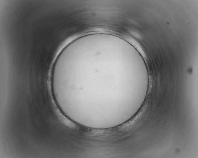 X0000102761098200808180925