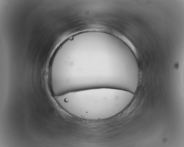 X0000102761099200808180925