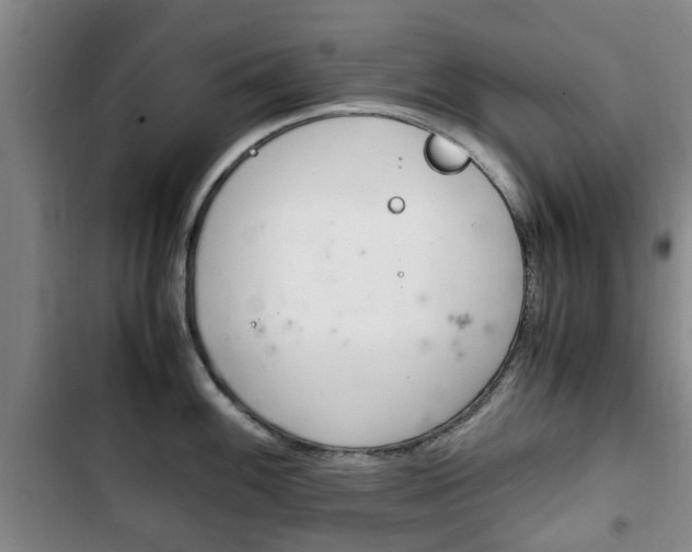 X0000102761100200808180925