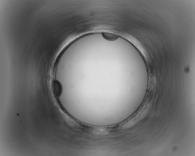 X0000102761101200808180925
