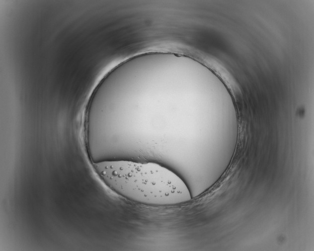 X0000102761103200808180925