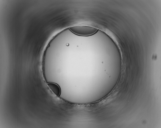 X0000102761104200808180925