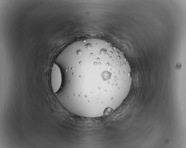 X0000102761105200808180925