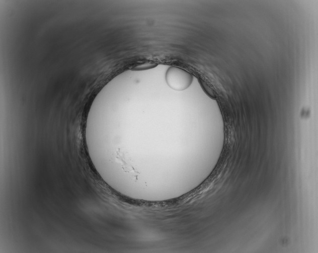 X0000102761106200808180925