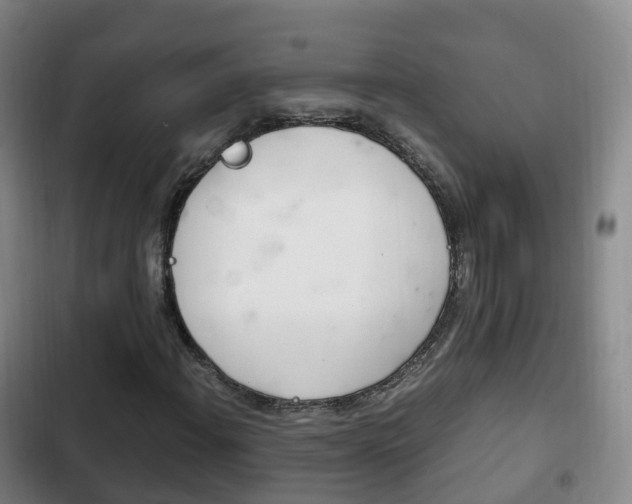 X0000102761108200808180925
