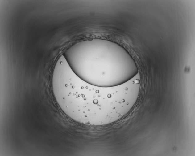 X0000102761109200808180925