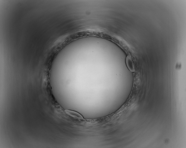 X0000102761110200808180925