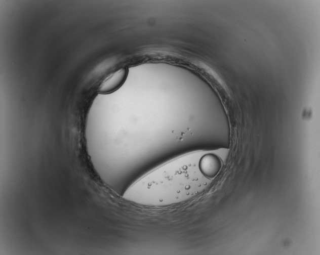 X0000102761111200808180925