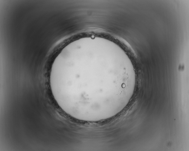 X0000102761112200808180925