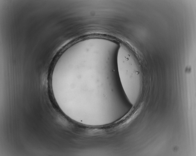 X0000102761113200808180925