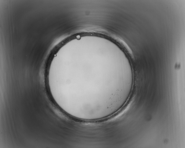 X0000102761114200808180925