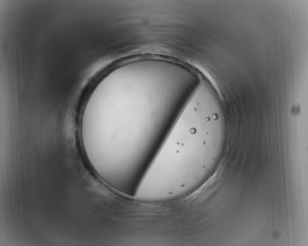 X0000102761115200808180925