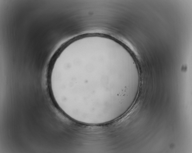 X0000102761116200808180925