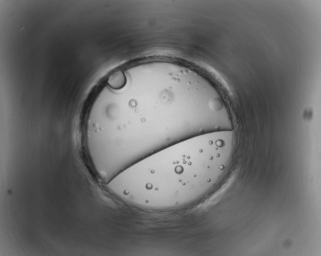 X0000102761117200808180925