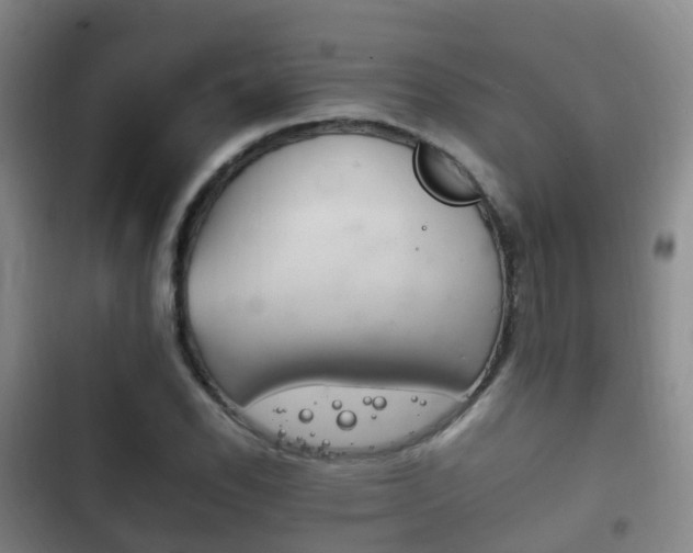 X0000102761118200808180925