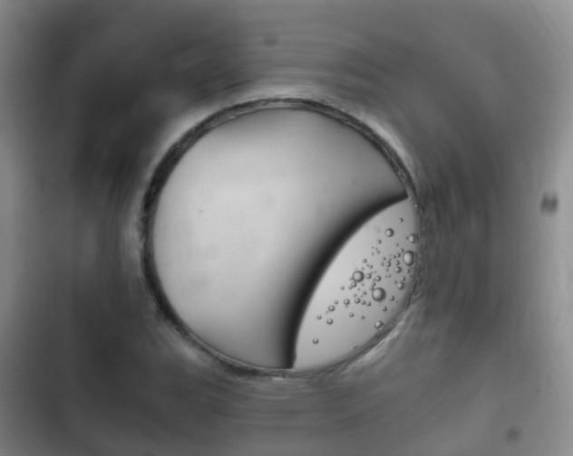 X0000102761119200808180925