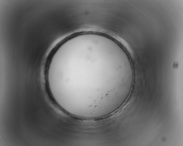 X0000102761120200808180925