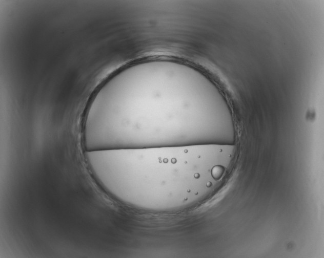 X0000102761121200808180925