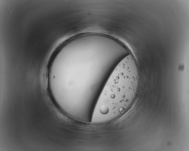 X0000102761123200808180925
