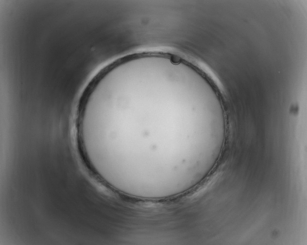 X0000102761124200808180925