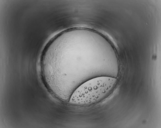 X0000102761125200808180925
