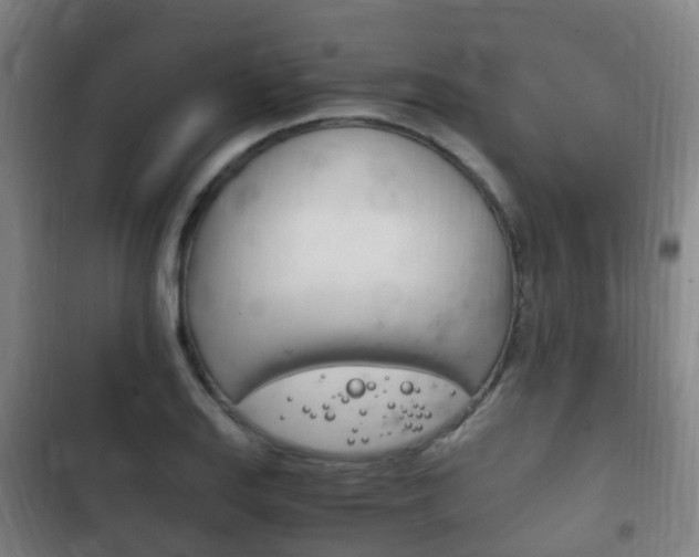 X0000102761127200808180925