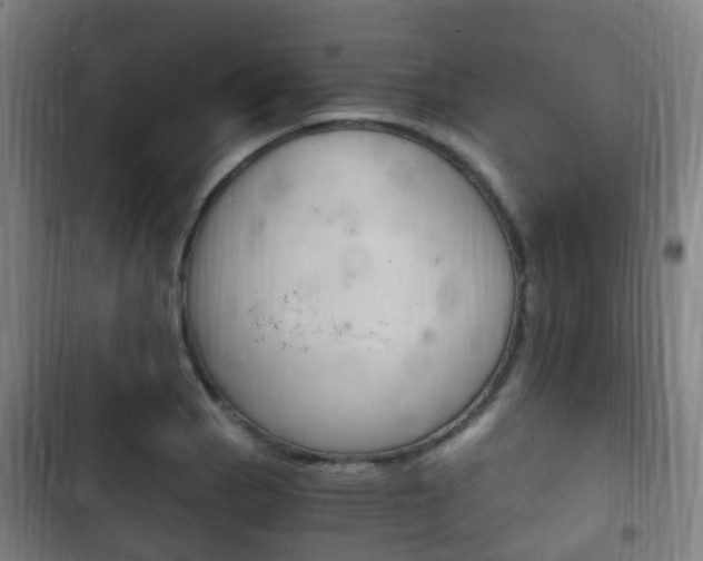 X0000102761129200808180925