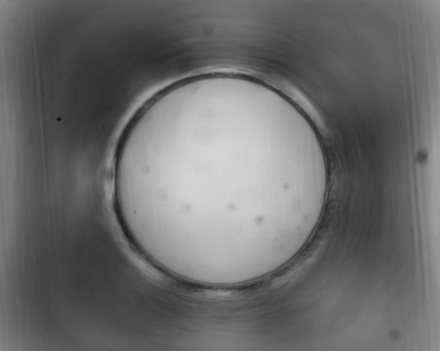 X0000102761132200808180925