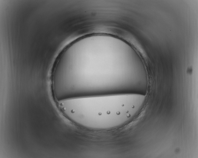 X0000102761133200808180925