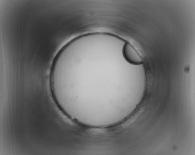 X0000102761134200808180925