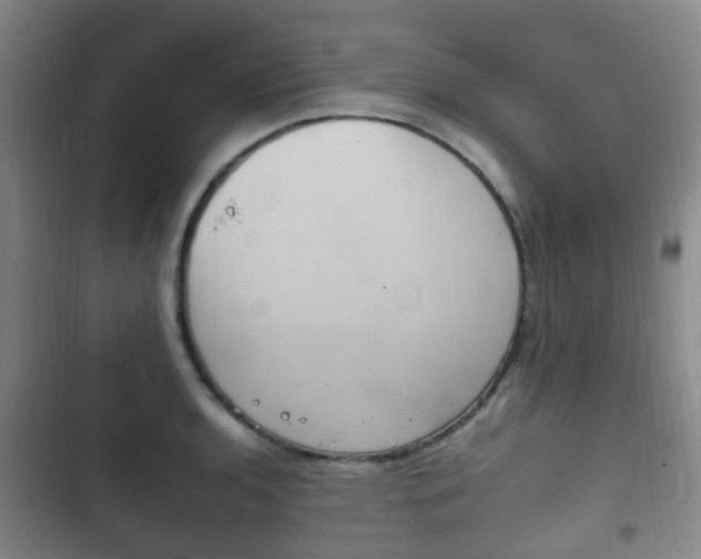 X0000102761136200808180925
