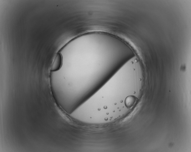 X0000102761137200808180925