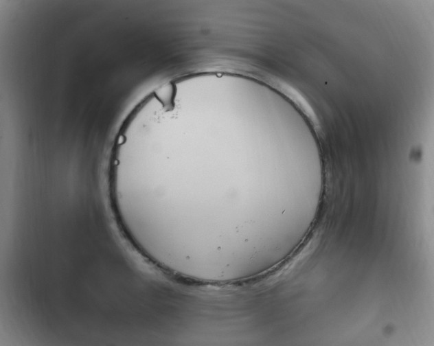 X0000102761138200808180925