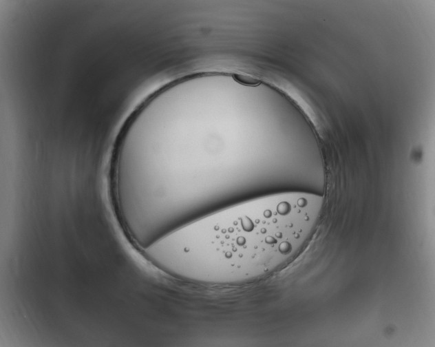 X0000102761139200808180925