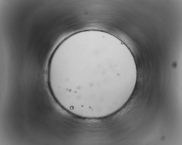 X0000102761140200808180925