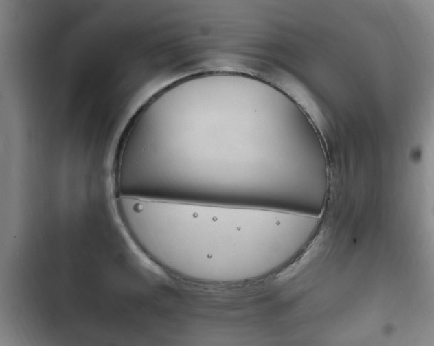 X0000102761141200808180925