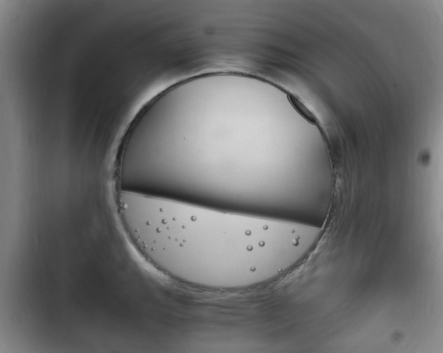X0000102761143200808180925