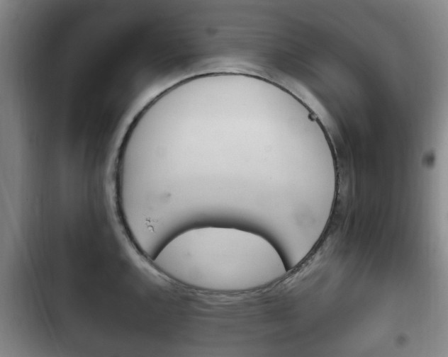 X0000102761144200808180925
