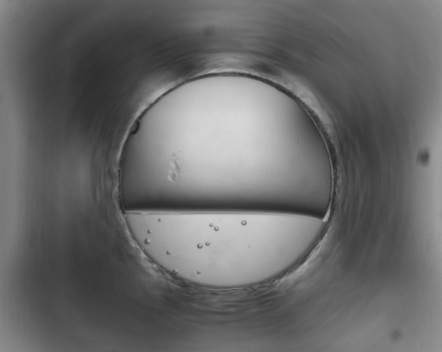 X0000102761145200808180925