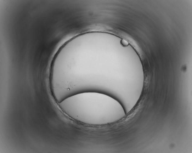 X0000102761146200808180925