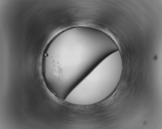 X0000102761147200808180925